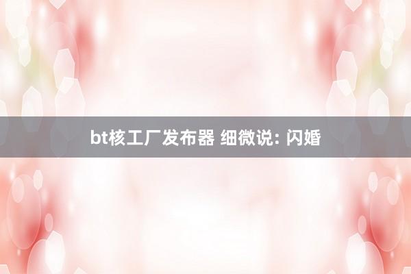 bt核工厂发布器 细微说: 闪婚