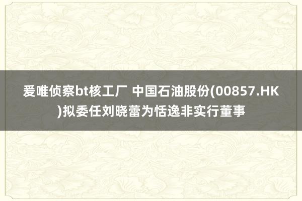 爰唯侦察bt核工厂 中国石油股份(00857.HK)拟委任刘晓蕾为恬逸非实行董事