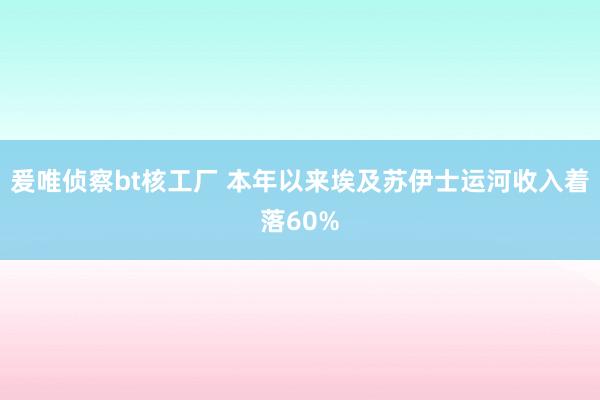 爰唯侦察bt核工厂 本年以来埃及苏伊士运河收入着落60%