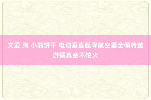 文爱 胸 小熊饼干 电动垂直起降航空器全倾转遨游锻真金不怕火