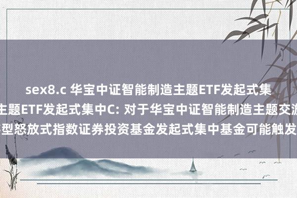 sex8.c 华宝中证智能制造主题ETF发起式集中A,华宝中证智能制造主题ETF发起式集中C: 对于华宝中证智能制造主题交游型怒放式指数证券投资基金发起式集中基金可能触发基金合同阻隔情形的领导性公告