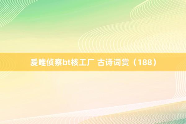 爰唯侦察bt核工厂 古诗词赏(188)