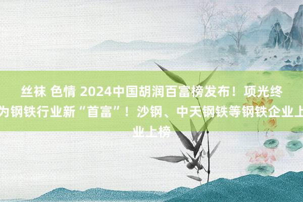 丝袜 色情 2024中国胡润百富榜发布！项光终了为钢铁行业新“首富”！沙钢、中天钢铁等钢铁企业上榜