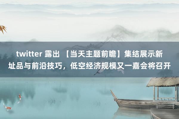 twitter 露出 【当天主题前瞻】集结展示新址品与前沿技巧，低空经济规模又一嘉会将召开