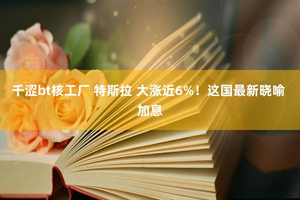 千涩bt核工厂 特斯拉 大涨近6%！这国最新晓喻 加息