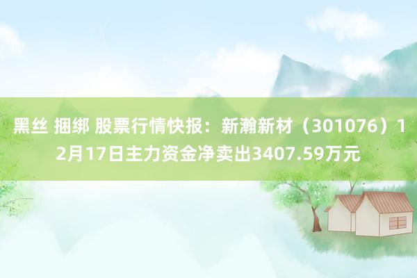 黑丝 捆绑 股票行情快报：新瀚新材（301076）12月17日主力资金净卖出3407.59万元