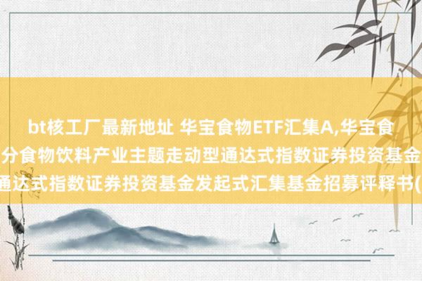 bt核工厂最新地址 华宝食物ETF汇集A,华宝食物ETF汇集C: 华宝中证细分食物饮料产业主题走动型通达式指数证券投资基金发起式汇集基金招募评释书(更新)