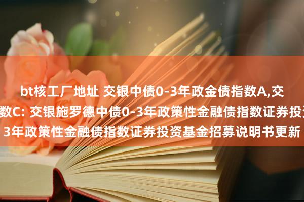 bt核工厂地址 交银中债0-3年政金债指数A,交银中债0-3年政金债指数C: 交银施罗德中债0-3年政策性金融债指数证券投资基金招募说明书更新