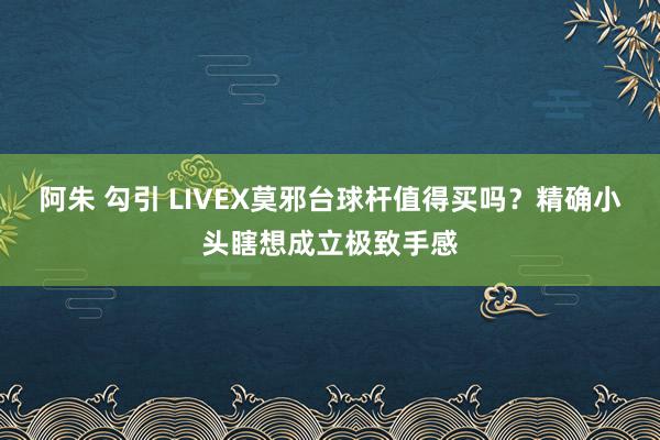 阿朱 勾引 LIVEX莫邪台球杆值得买吗？精确小头瞎想成立极致手感