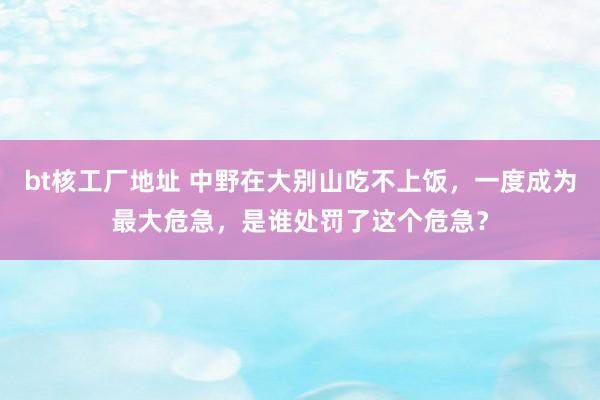 bt核工厂地址 中野在大别山吃不上饭，一度成为最大危急，是谁处罚了这个危急？