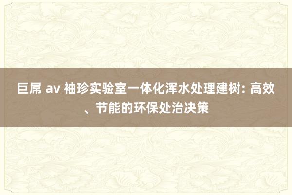 巨屌 av 袖珍实验室一体化浑水处理建树: 高效、节能的环保处治决策