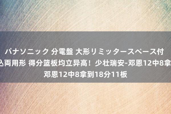 パナソニック 分電盤 大形リミッタースペース付 露出・半埋込両用形 得分篮板均立异高！少壮瑞安-邓恩12中8拿到18分11板
