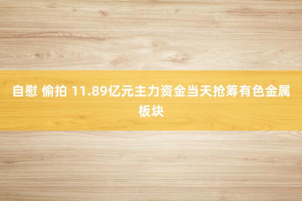 自慰 偷拍 11.89亿元主力资金当天抢筹有色金属板块