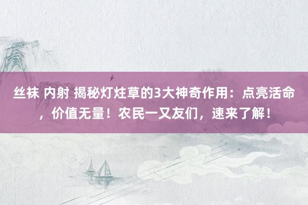 丝袜 内射 揭秘灯炷草的3大神奇作用：点亮活命，价值无量！农民一又友们，速来了解！