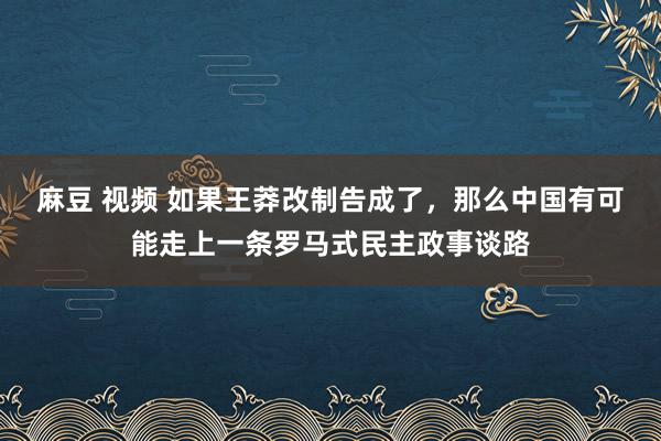 麻豆 视频 如果王莽改制告成了，那么中国有可能走上一条罗马式民主政事谈路