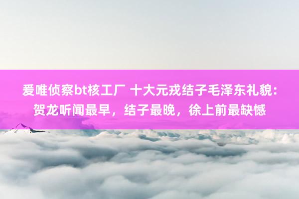 爰唯侦察bt核工厂 十大元戎结子毛泽东礼貌：贺龙听闻最早，结子最晚，徐上前最缺憾