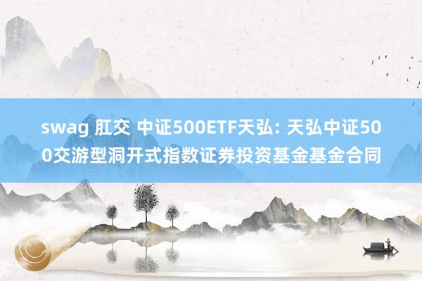 swag 肛交 中证500ETF天弘: 天弘中证500交游型洞开式指数证券投资基金基金合同