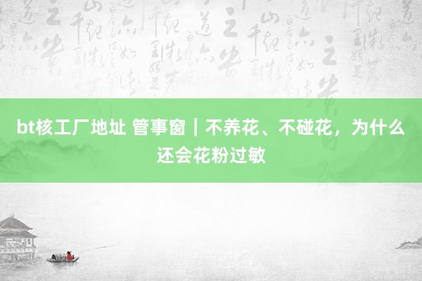 bt核工厂地址 管事窗｜不养花、不碰花，为什么还会花粉过敏