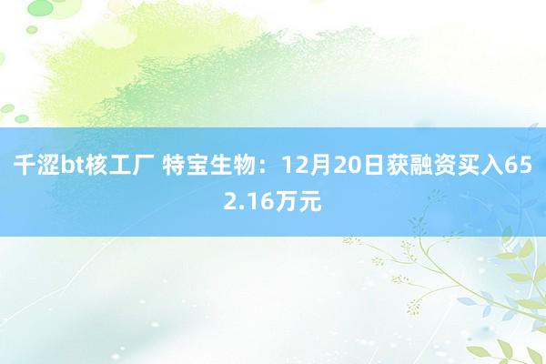 千涩bt核工厂 特宝生物：12月20日获融资买入652.16万元
