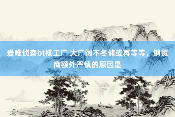 爰唯侦察bt核工厂 大广阔不冬储或再等等，钢贸商额外严慎的原因是