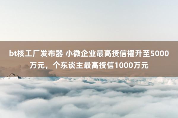 bt核工厂发布器 小微企业最高授信擢升至5000万元，个东谈主最高授信1000万元