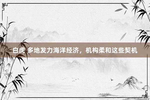 白虎 多地发力海洋经济，机构柔和这些契机