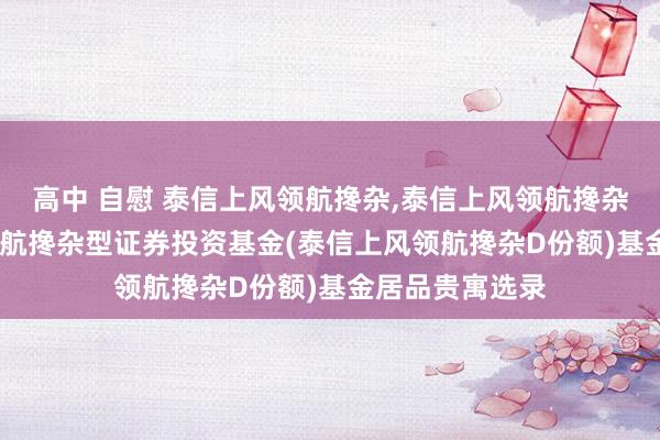 高中 自慰 泰信上风领航搀杂，泰信上风领航搀杂D: 泰信上风领航搀杂型证券投资基金(泰信上风领航搀杂D份额)基金居品贵寓选录