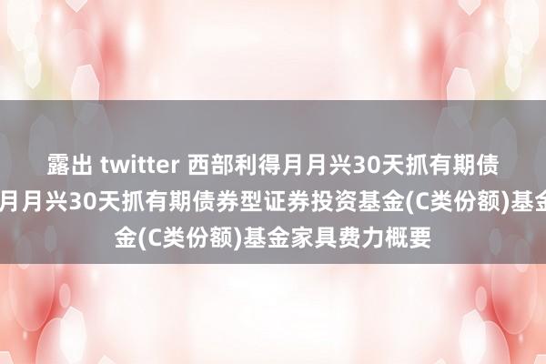 露出 twitter 西部利得月月兴30天抓有期债券C: 西部利得月月兴30天抓有期债券型证券投资基金(C类份额)基金家具费力概要