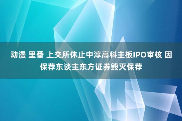 动漫 里番 上交所休止中淳高科主板IPO审核 因保荐东谈主东方证券毁灭保荐