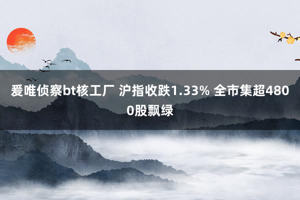 爰唯侦察bt核工厂 沪指收跌1.33% 全市集超4800股飘绿
