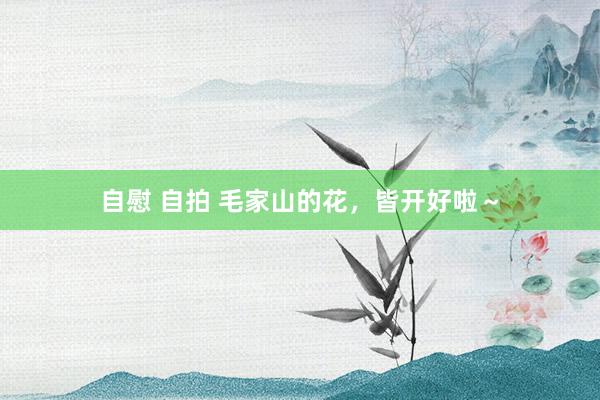 自慰 自拍 毛家山的花，皆开好啦～