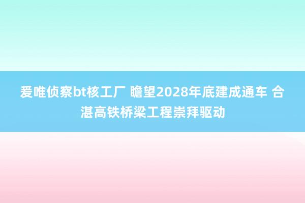 爰唯侦察bt核工厂 瞻望2028年底建成通车 合湛高铁桥梁工程崇拜驱动