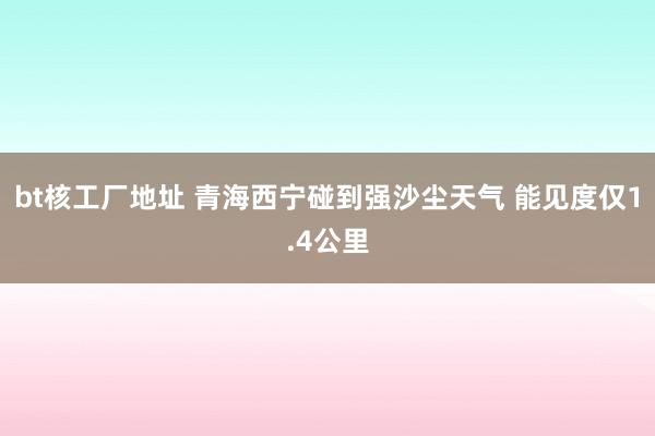 bt核工厂地址 青海西宁碰到强沙尘天气 能见度仅1.4公里