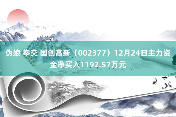 伪娘 拳交 国创高新（002377）12月24日主力资金净买入1192.57万元