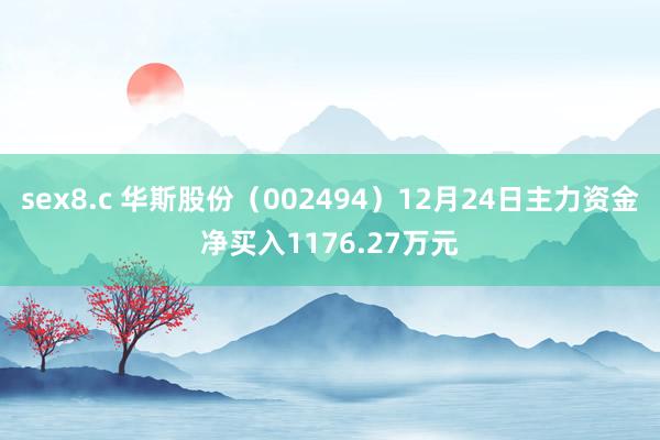 sex8.c 华斯股份（002494）12月24日主力资金净买入1176.27万元
