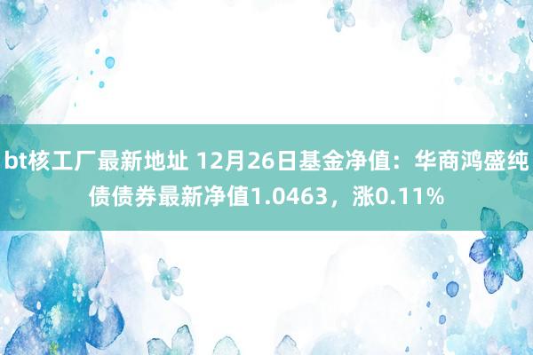 bt核工厂最新地址 12月26日基金净值：华商鸿盛纯债债券最新净值1.0463，涨0.11%