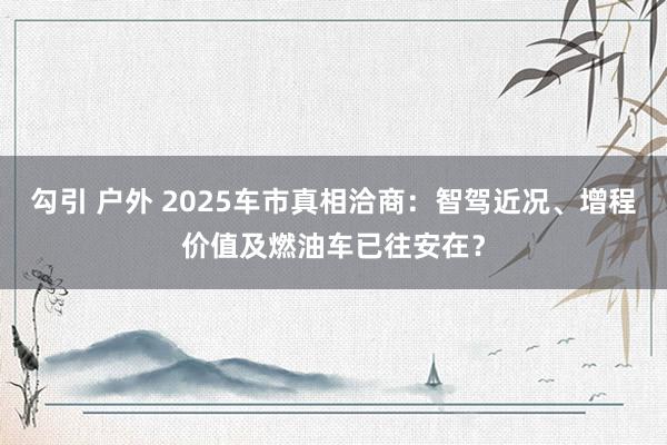 勾引 户外 2025车市真相洽商：智驾近况、增程价值及燃油车已往安在？