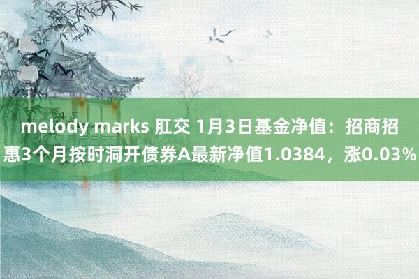melody marks 肛交 1月3日基金净值：招商招惠3个月按时洞开债券A最新净值1.0384，涨0.03%