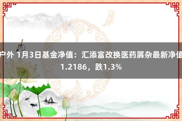 户外 1月3日基金净值：汇添富改换医药羼杂最新净值1.2186，跌1.3%