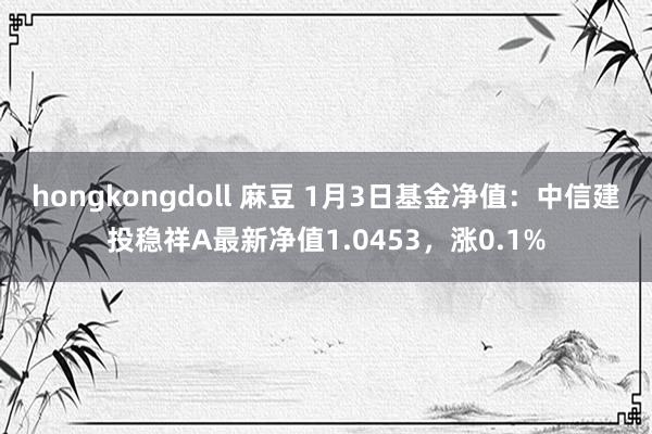 hongkongdoll 麻豆 1月3日基金净值：中信建投稳祥A最新净值1.0453，涨0.1%