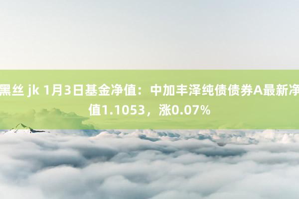 黑丝 jk 1月3日基金净值：中加丰泽纯债债券A最新净值1.1053，涨0.07%
