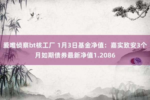 爰唯侦察bt核工厂 1月3日基金净值：嘉实致安3个月如期债券最新净值1.2086