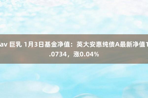 av 巨乳 1月3日基金净值：英大安惠纯债A最新净值1.0734，涨0.04%