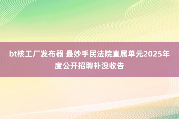 bt核工厂发布器 最妙手民法院直属单元2025年度公开招聘补没收告