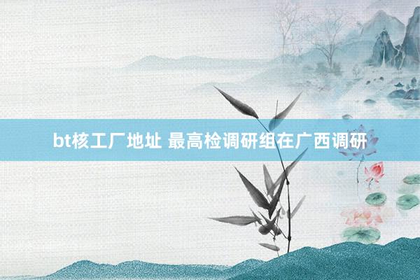 bt核工厂地址 最高检调研组在广西调研