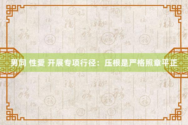 男同 性愛 开展专项行径：压根是严格照章平正