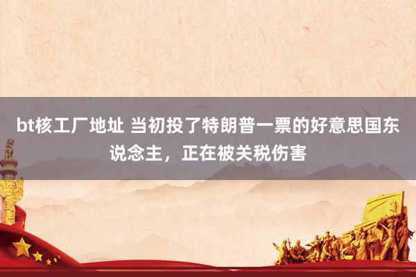 bt核工厂地址 当初投了特朗普一票的好意思国东说念主，正在被关税伤害