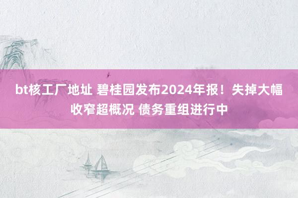 bt核工厂地址 碧桂园发布2024年报！失掉大幅收窄超概况 债务重组进行中