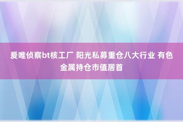 爰唯侦察bt核工厂 阳光私募重仓八大行业 有色金属持仓市值居首