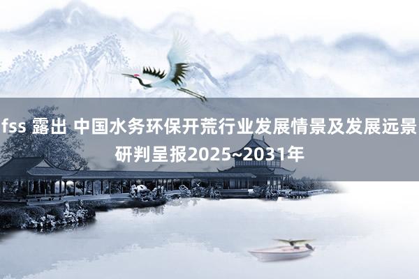 fss 露出 中国水务环保开荒行业发展情景及发展远景研判呈报2025~2031年